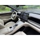 Denza N7 EV, пробіг 8 тисяч км
